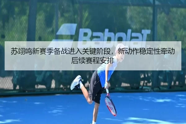 苏翊鸣新赛季备战进入关键阶段，新动作稳定性牵动后续赛程安排